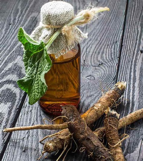 Frequently Asked Questions About Burdock Root