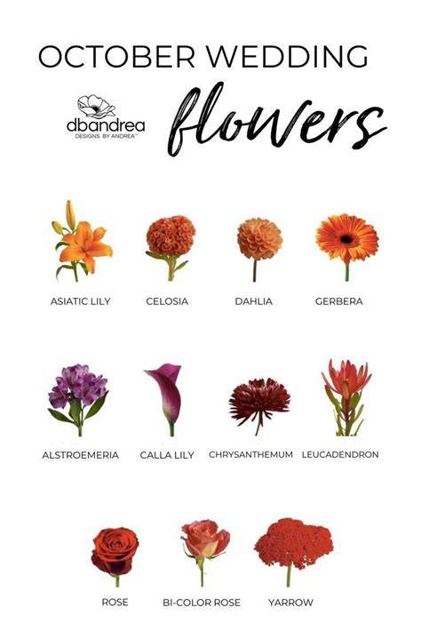 Frequently Asked Questions About October Wedding Flowers