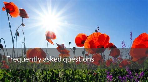 Frequently Asked Questions About Orange Flowers