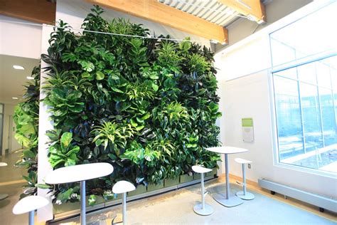 Frequently Asked Questions About Plant Wall Features