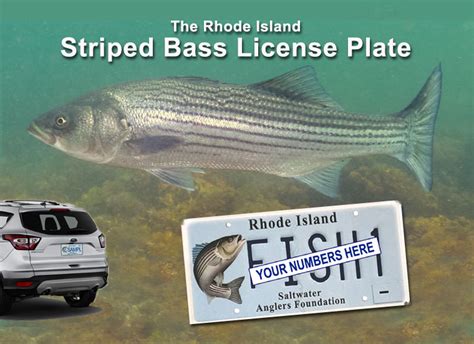 Frequently Asked Questions About Rhode Island Saltwater Fishing Licenses