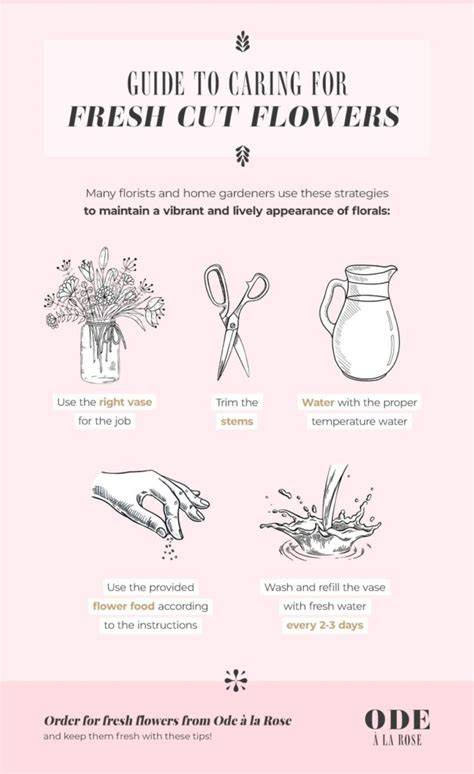 Frequently Asked Questions about Fresh July Cut Flowers