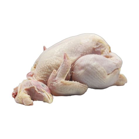 Fresh Chicken