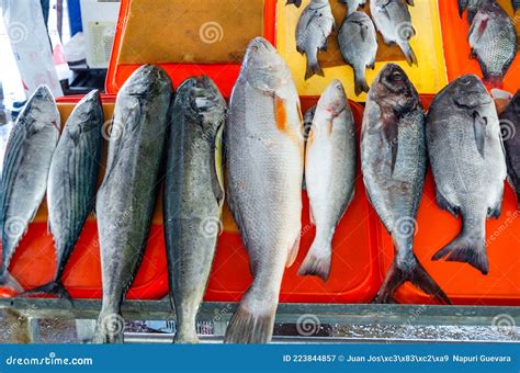 Fresh Fish Market Lima
