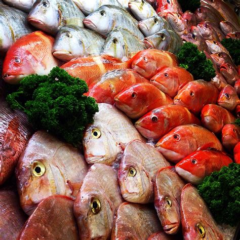Fresh Fish selection