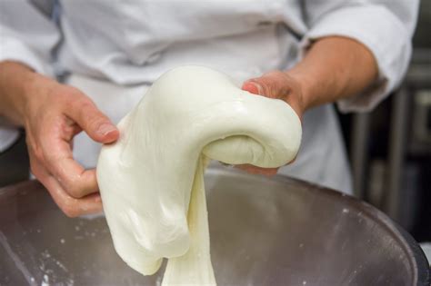 Fresh Mozzarella Making