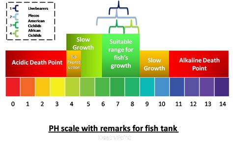 Freshwater Fish Tank Ph Level Chart