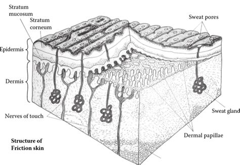 Unlocking the Pain of Friction: Discover the Key to Soothe and Protect Your Skin