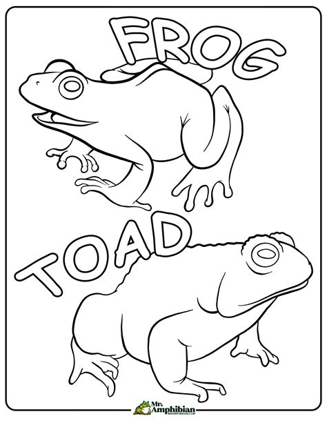 Frog And Toad Coloring Pages