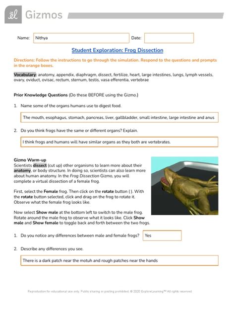 Frog Dissection Gizmo Worksheet Answer Key: A Comprehensive Guide