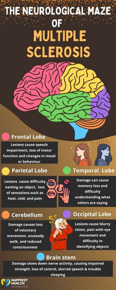 From Diagrams to Diagnosis: Navigating the Neurological Maze