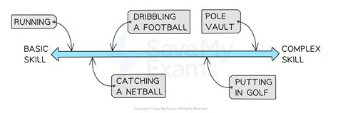From basic to complex