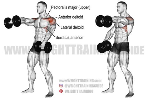 Front Dumbbell Raise