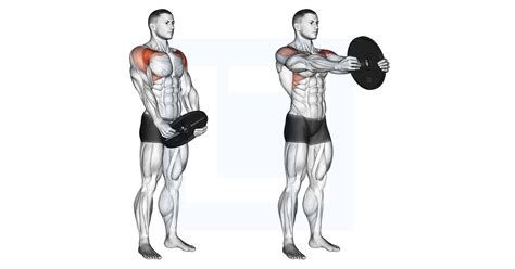 Front Raise