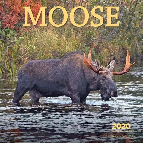 Front Royal Moose Calendar