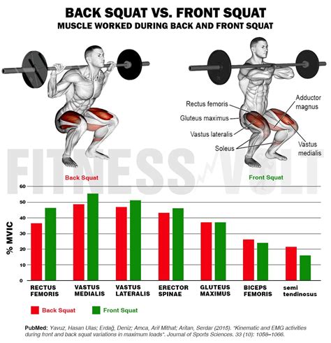 Front Squats Vs Back Squats