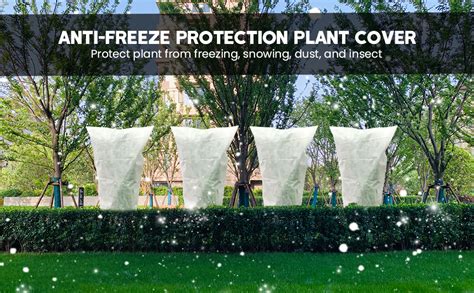 Frost Protection in Florida