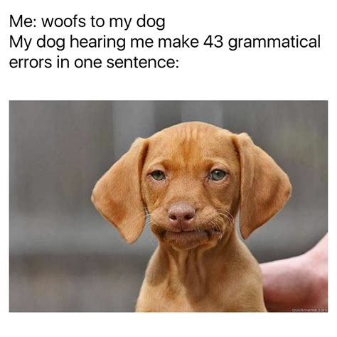 Frowning Dog Meme