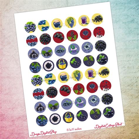 Fruit Digital Collage Sheet,Blueberry Images