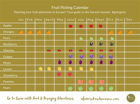 Fruit Harvest Calendar