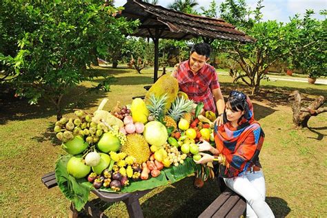 Fruit Tasting Penang
