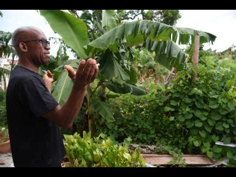 Fruitful experimentation