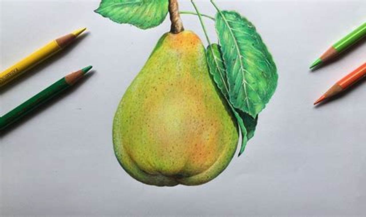 Fruits Colour Pencil Drawing: A Step-by-Step Guide for Beginners