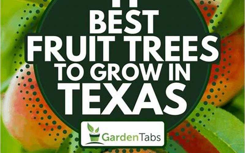 Fruits To Grow In Austin Tx