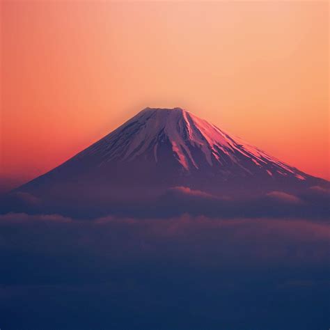Fuji alone