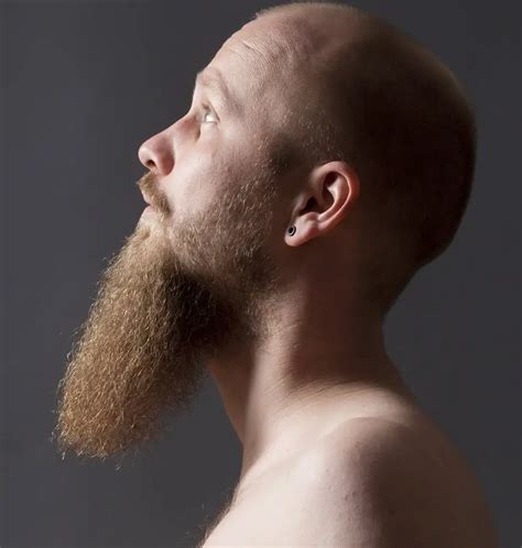 Full Beard Long Goatee