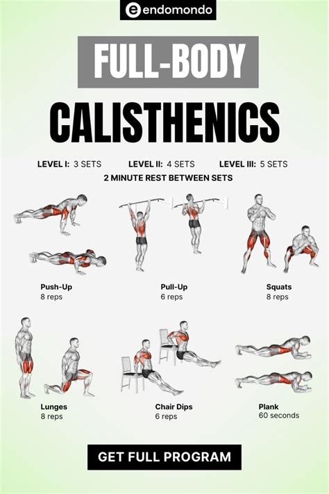 Full Body Calisthenics Workout