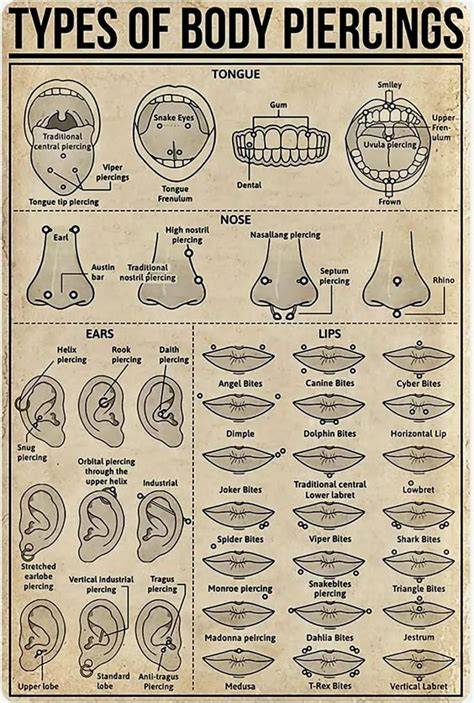 Full Body Piercing Chart