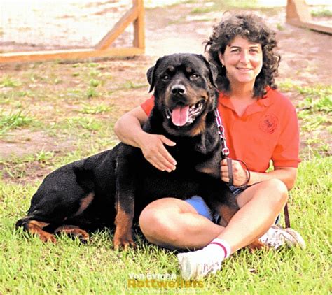 Teach Rottweiler to Stay