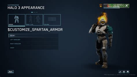 Full Halo 3 armor customization