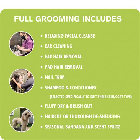 Full-Service Grooming Options
