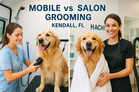 Full-Service Salons vs. Mobile Grooming