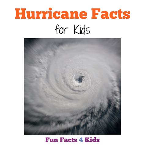 Unleashing The Whirlwind: Discovering the Fascinating Fun Facts about a Hurricane