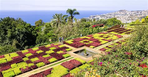 Funchal Attractions
