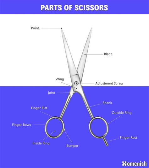 Function Of Scissors