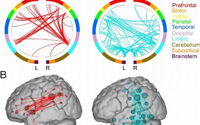 Functional Connectivity Mri: Mapping Brain Networks And Dysfunction