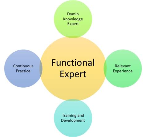 Functional Expert: Definition, Qualities In English