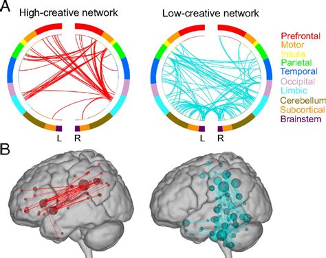 Functional Connectivity Brain