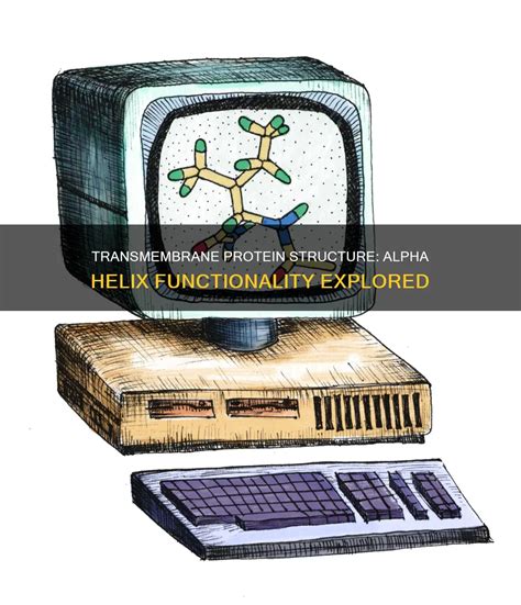 Functionality Explored