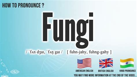 Fungi Pronunciation