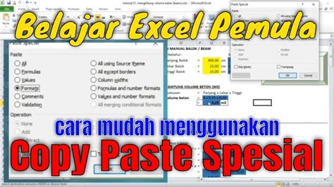 Fungsi Copy Paste Dari Excel Error Invalid Not Embedded