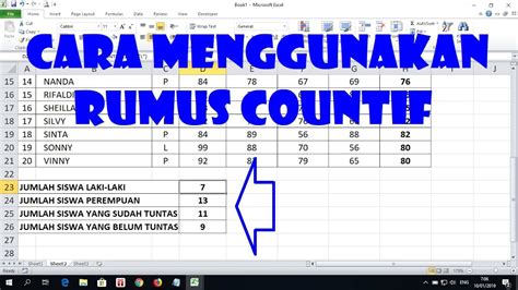 Understanding the Function of Count in Indonesia