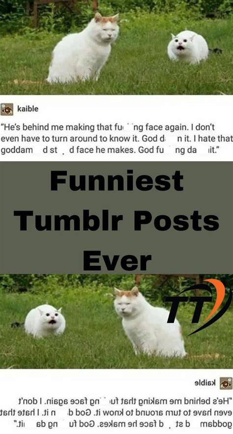 Funniest Of Tumblr