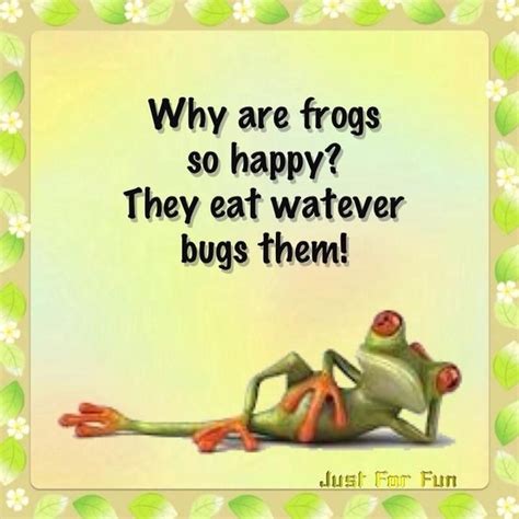 Funny Frog Quotes ShortQuotes.cc