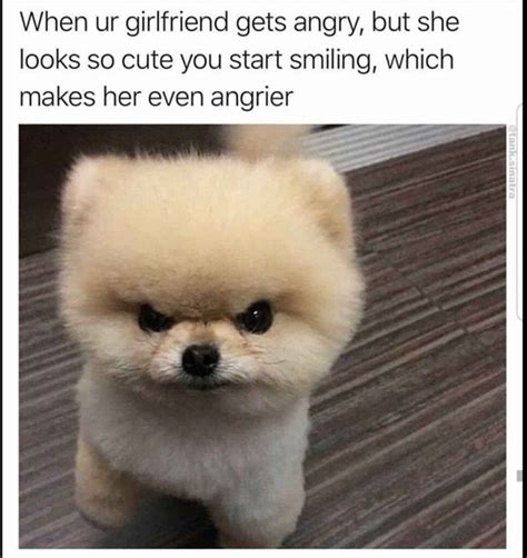 Funny Angry Memes