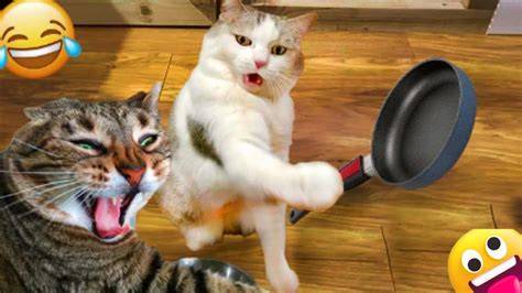 Funny Animals 1 Hour